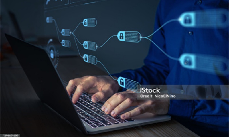 LBank交易所全球排名是多少?蓝贝壳交易所的全球排名分析