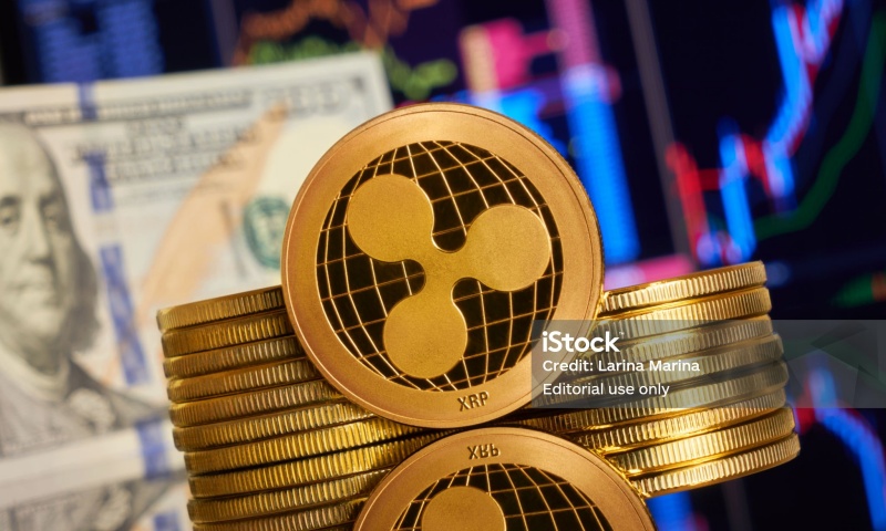 BMX币发行量是多少?BMX币的总发行量分析