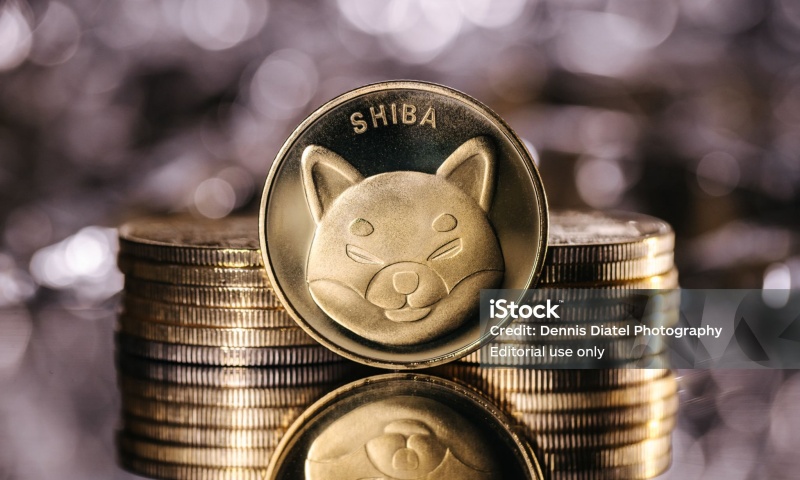 YFI币的发行价格是多少?YFI币的发行价格与时间解析