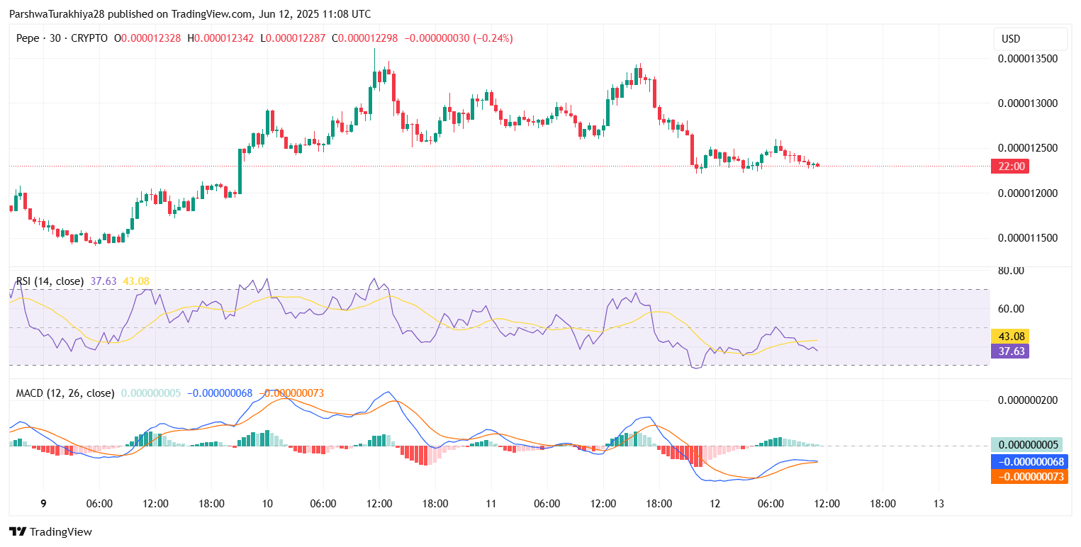 2025年6月13日PEPE价格预测:多头瞄准0.00001320美元,关键支撑位维持在0.00001220美元