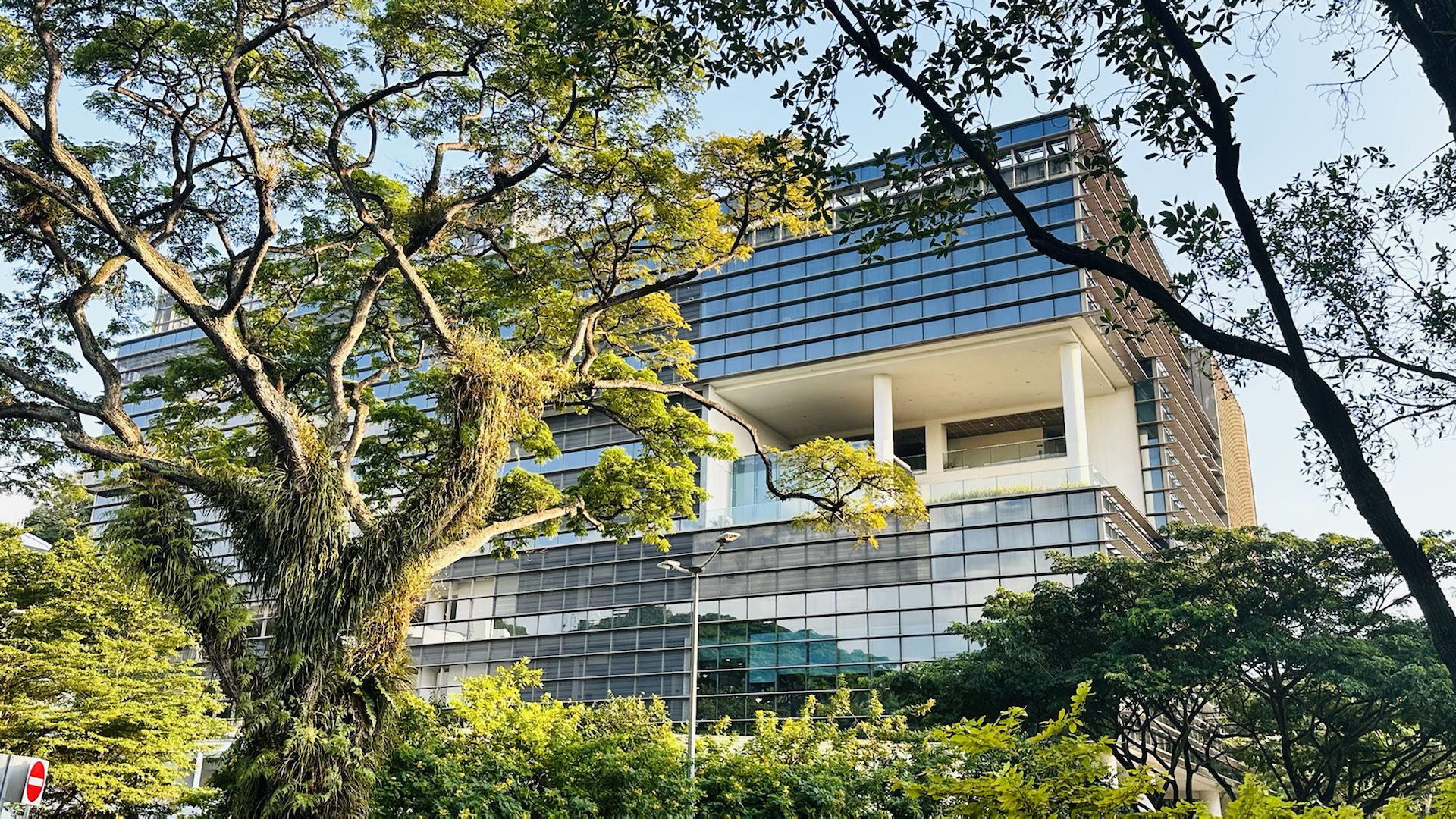 加密货货币M含义解析 | M型数字资产投资指南