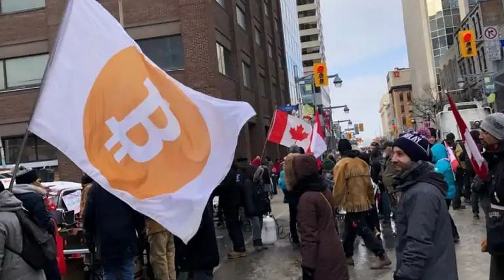 比特币与比特币现金投资区别解析 | 数字货币投资选择对比
