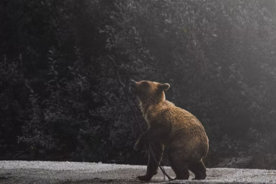 USDT提现门槛解析 | 交易所提币限额与手续费详解
