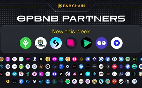 投资加密货币,如何选择?投资加密货币,如何选择? | 加密货币币种投资指南