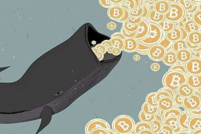 泰达币有什么用途和作用 | 泰达币实用价值详解
