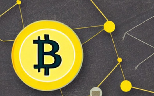 dot币投资价值分析 | dot币未来涨幅预期探讨