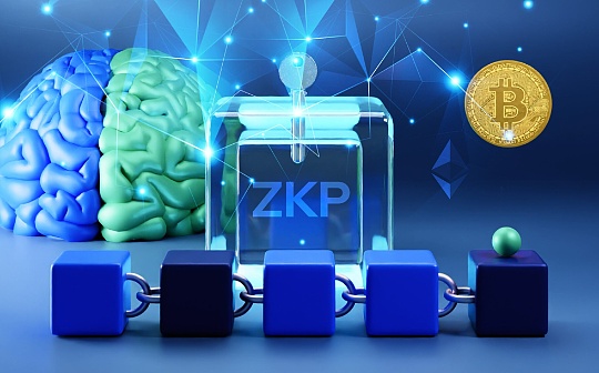 SLP币发行背景解析 | SLP币创始人及项目起源揭秘
