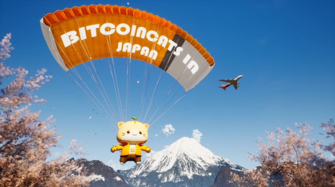 瑞波币的用途和作用是什么 | 瑞波币价值与未来前景解析