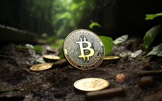 什么是加杠杆与去杠杆 | 杠杆交易风险与原理解析
