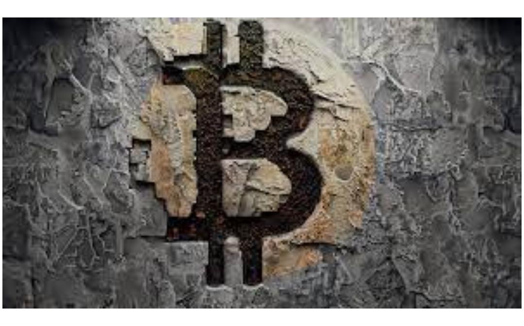 比特币交易量统计查询指南 | 比特币每日成交量数据来源解析
