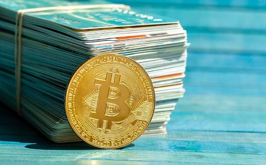 维卡币投资风险解析 | 虚拟货币理财安全指南
