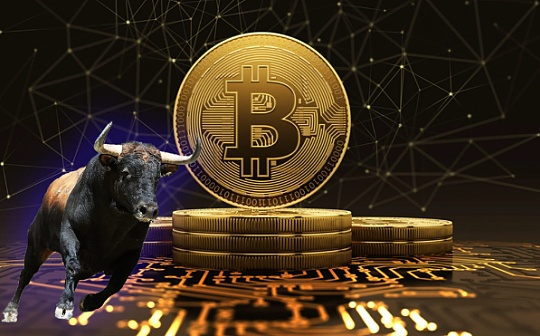 以太坊钱包是否只能存以太坊 | 多币种存储功能解析
